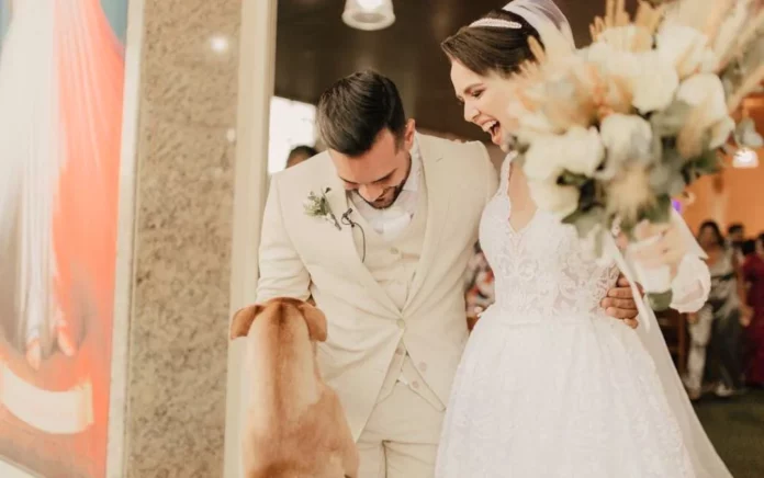 Le chien errant et le mariage 