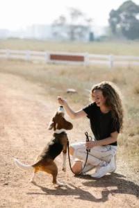 Dressez votre chien sur La Marche Au Pied