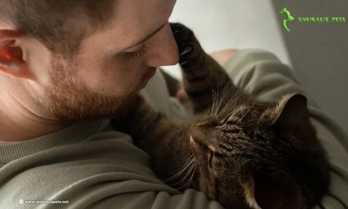 Peut une relation fusionnelle avec un chat