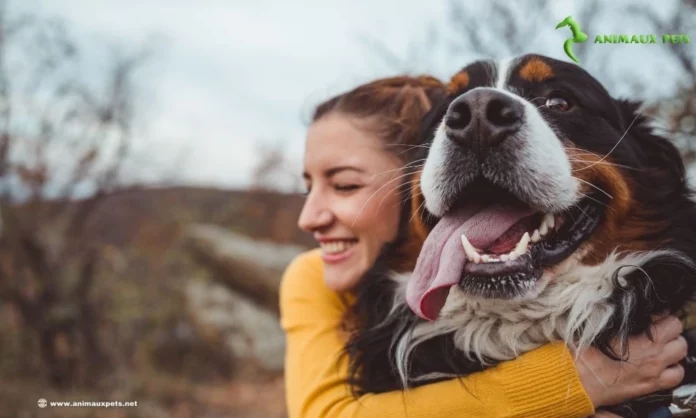 Dirofilariose chez les chiens