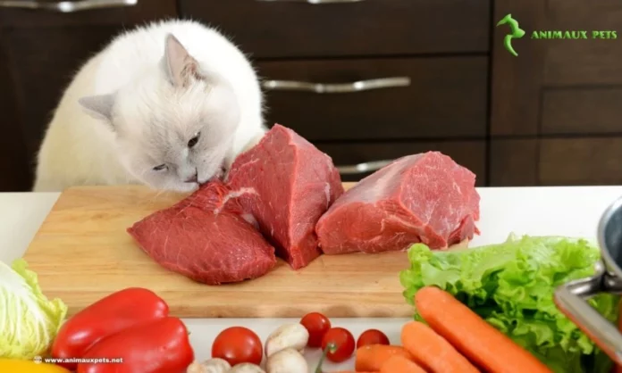 Est-ce que les chats est un carnivore strict ?