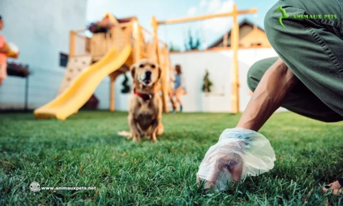 La Coprophagie ! Pourquoi les chiens mangent-ils leurs crottes