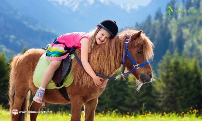 Quel est l'âge d'un poney pouvant porter un enfant ?