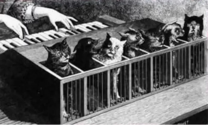 Le Piano à Chats : Entre Réalité et Fiction